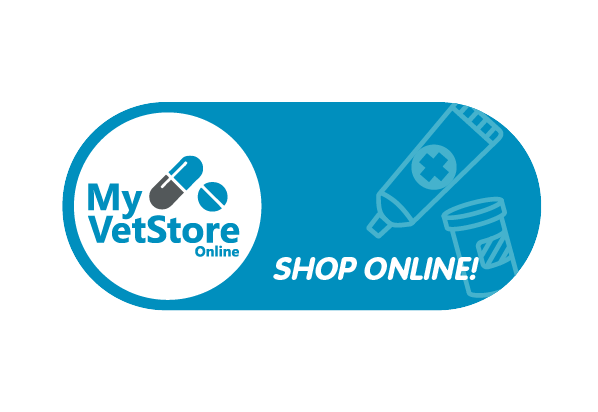 Online Store