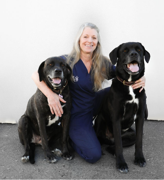 Profile for Frankie Bonifacio